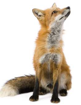 Produkte - Ofen-Galerie